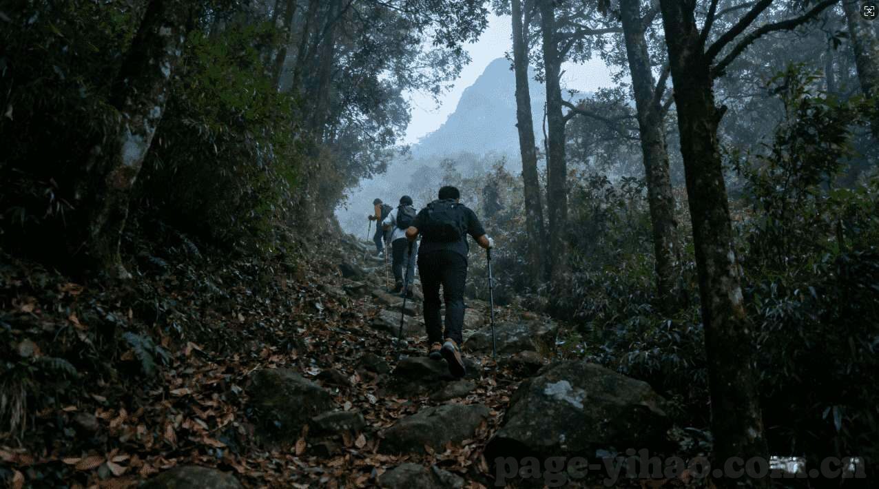今晚世界杯三串一陪率-今晚世界杯三串一赔率，一场智慧与激情的碰撞