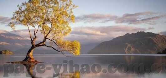 足球比分太低了-足球比分太低了，一场关于激情与效率的深度探讨